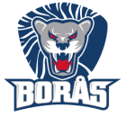 Borås Hockey